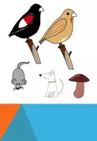 Vorschau - selbst erstellte Cliparts/Grafiken - Cliparts: Tiere und Pflanzen - Seite 3