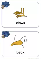 Aperçu - Apprentissages en autonomie - Seashore Animals - BODY PARTS bundle - Page 3