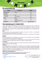 Vorschau - Arbeitsblätter - Tiere im Winter - Stationsarbeit mit Arbeitsblättern und Lösungen (2 Niveaustufen) - Seite 1