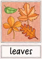 Vista previa - Decoración del aula - Autumn / Fall - 60 Flashcards for ESL Learners - página 2