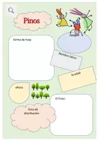 Vista previa - Hojas de trabajo - Árboles de perfil - pino - página 1