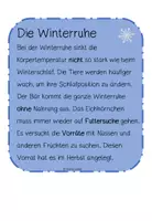 Vorschau - Arbeitsblätter - Tiere im Winter Wissenskarten - Seite 3
