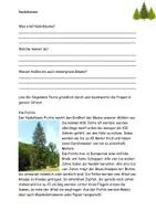 Vorschau - Stundenentwürfe - Rund um Nadelbäume Aufgaben Steckbrief Lösung Spiel - Seite 2