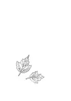 Vorschau - Mal- und Bastelvorlagen - kreativ schreiben und zeichnen: Herbst - Seite 3