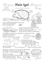 Vorschau - Arbeitsblätter - Rätsel mal! Mein Igel (Klasse 2) - Seite 1
