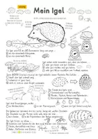 Vorschau - Arbeitsblätter - Rätsel mal! Mein Igel (Klasse 2) - Seite 2