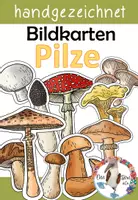 Vorschau - Bildkarten - Pilze - handgezeichnete Bildkarten - Deckblatt