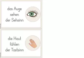 Vorschau - Präsentationen/Tafelbilder - Fotosammlung - Unsere Sinne - Seite 2
