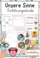 Vorschau - Arbeitsblätter - 1. Stunde: Einführungsstunde - Unsere Sinne - Vorwissen - Deckblatt