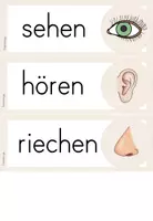 Vorschau - Arbeitsblätter - 1. Stunde: Einführungsstunde - Unsere Sinne - Vorwissen - Seite 2