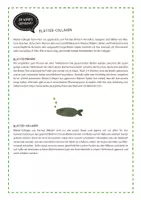 Vorschau - Arbeitsblätter - Blätter-Collagen - Seite 3