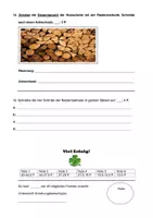 Vorschau - Klassenarbeiten - Leistungsnachweis/Klassenarbeit im Fach Mathematik * Thema: Natürliche Zahlen – Zahlen lesen und schreiben + Zahlen runden und Rastermethode - Seite 3