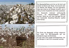 Vorschau - Arbeitsblätter - Baumwolle - Der weg eines T-Shirts - Seite 3