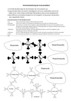 Vorschau - Arbeitsblätter - Immunreaktion - Deckblatt