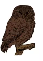 Vorschau - selbst erstellte Cliparts/Grafiken - Eulen Tiermotiv (Bildkarte, Poster Malen & Zeichnen, Malvorlagen, Tiere Kunst) - Deckblatt