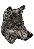 Vorschau - selbst erstellte Cliparts/Grafiken - Wolf Tiermotiv (Bildkarte, Poster Malen & Zeichnen, Malvorlagen, Tiere Kunst) - Deckblatt