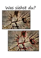 Vorschau - Präsentationen/Tafelbilder - Was siehst du? Natursuchbilder - Deckblatt
