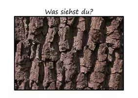 Vorschau - Präsentationen/Tafelbilder - Was siehst du? Natursuchbilder - Seite 3