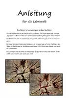 Vorschau - Präsentationen/Tafelbilder - Was siehst du? Natursuchbilder - Seite 1