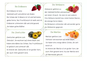 Vorschau - Aufgabenkarten - Obst-Kartei / Lesekartei zum Thema Obst - Seite 2