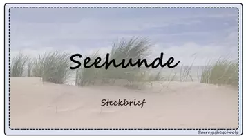 Vorschau - Stationenlernen - Seehunde: Infokartei - Seite 2
