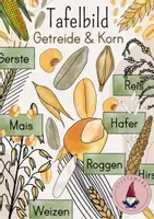 Vorschau - Stundenentwürfe - Tafelbild Getreide & Korn: Getreide, Getreidekorn, Getreidezuordnung: Weizen, Roggen, Hafer, Gerste, Mais, Reis, Hirse - Deckblatt