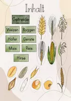 Vorschau - Stundenentwürfe - Tafelbild Getreide & Korn: Getreide, Getreidekorn, Getreidezuordnung: Weizen, Roggen, Hafer, Gerste, Mais, Reis, Hirse - Seite 1