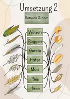 Vorschau - Stundenentwürfe - Tafelbild Getreide & Korn: Getreide, Getreidekorn, Getreidezuordnung: Weizen, Roggen, Hafer, Gerste, Mais, Reis, Hirse - Seite 3