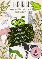 Vorschau - Stundenentwürfe - Tafelbild Wer ernährt sich von Getreide? Tiere, Getreideernährung, Futter, Getreidefutter - Deckblatt