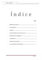 Vista previa - Unidades / Secuencias / Situaciones de Aprendizaje - CIENCIA Y AMBIENTE 4TO GRADO CUADERNO DE PRÁCTICA - página 2