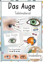 Vorschau - Präsentationen/Tafelbilder - Das Auge - Tafelmaterial - Deckblatt