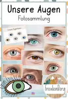 Vorschau - Präsentationen/Tafelbilder - Fotosammlung - Unsere Augen - Augenfarben - Deckblatt