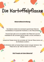 Vorschau - Arbeitsblätter - Die Kartoffelpflanze: Aufbau und Entwicklung – Material Sachunterricht / Grundschule / Klasse 3-4 - Seite 1