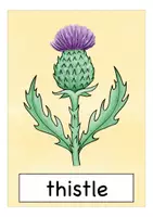 Aperçu - Cartes / Images - SCOTLAND flash cards English Anglais - Page 2