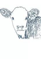 Vorschau - selbst erstellte Cliparts/Grafiken - Kuh Rind Tiermotiv (Bildkarte, Poster Malen & Zeichnen, Malvorlagen, Tiere Kunst) - Deckblatt