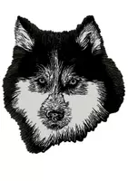 Vorschau - selbst erstellte Cliparts/Grafiken - Husky Hunde Tiermotiv (Bildkarte, Poster Malen & Zeichnen, Malvorlagen, Tiere Kunst) - Deckblatt