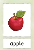 Vorschau - Poster - Picture and Word Cards: Fruits and Vegetables - Seite 3