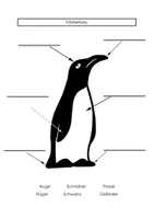 Vorschau - Arbeitsblätter - Pinguine - kleines Arbeitsheft ab Klasse 3 - Seite 1