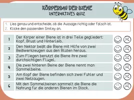 Vorschau - Interaktives Material - Interaktives Quiz - Körperbau einer Biene - Seite 2