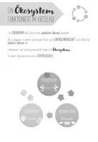 Vorschau - Arbeitsblätter - Ökosystem - Produzenten, Konsumenten & Destruenten - Seite 3