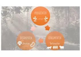 Vorschau - Arbeitsblätter - Ökosystem - Produzenten, Konsumenten & Destruenten - Deckblatt