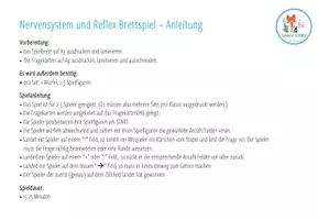 Vorschau - Spiele - Nervensystem und Reizübertragung - Brettspiel - Seite 2