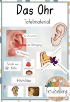 Vorschau - Präsentationen/Tafelbilder - Das Ohr - Tafelmaterial - Deckblatt
