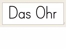 Vorschau - Präsentationen/Tafelbilder - Das Ohr - Tafelmaterial - Seite 3