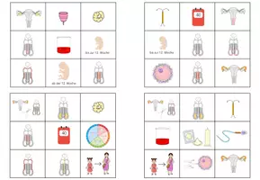 Vorschau - Spiele - Sexualität und Fortpflanzung - Bingo - Seite 2