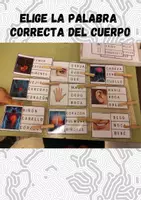 Vista previa - Juegos / Gamificación - Elige la palabra correcta de El cuerpo humano. - Portada