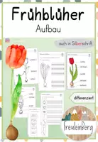 Vorschau - Arbeitsblätter - Aufbau Frühblüher - Bestandteile beschriften (differenziert) - Deckblatt