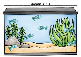 Vorschau - Stundenentwürfe - Materialpaket - Zufall und Wahrscheinlichkeit - Aquarium - Seite 1