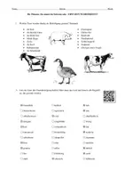 Vorschau - Arbeitsblätter - Musst Du ein Schwein sein? Problematisierung mithilfe eines Popsongs - Seite 3