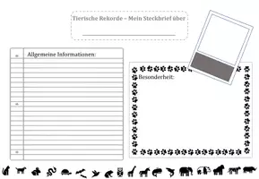 Vorschau - Arbeitsblätter - Steckbriefvorlage- Mein besonderes Tier - Tierbeschreibung - Seite 2